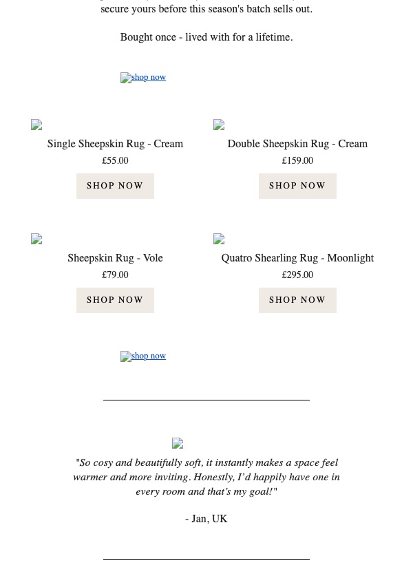 Autumn Rugs email with images blocked: white background, broken logo, the headline reduced to a small blue link, and the main CTA shown as a tiny blue 'shop now' link